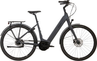 BBF Bern ALP500 Wave Bosch Active Line Plus 500 Wh